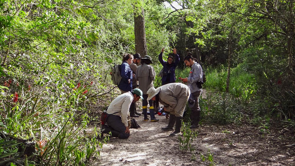 Semillero de primatología Argentino, Campamento Argentino de primatología